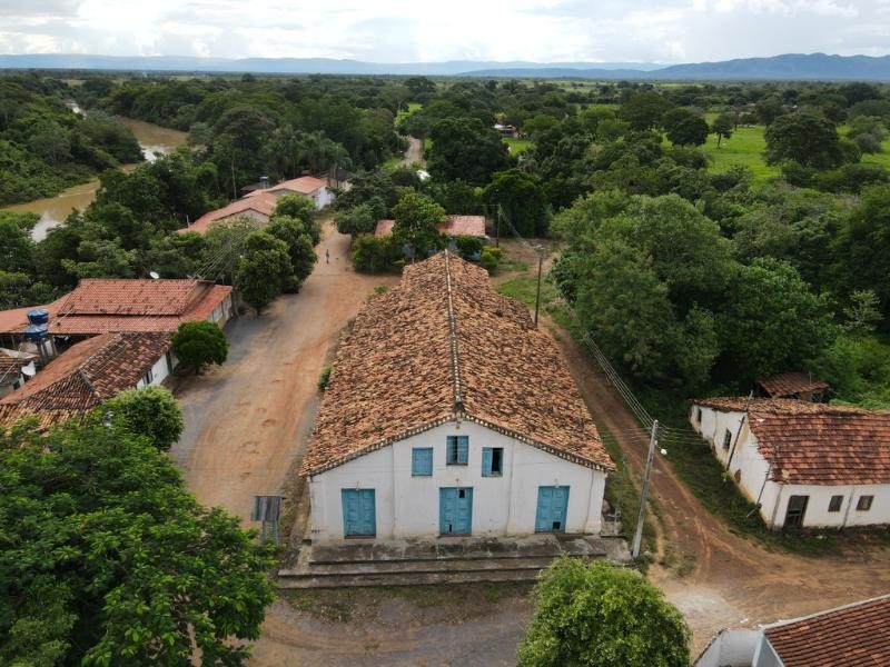 Flores de Goiás